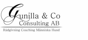Gunilla co consulting AB